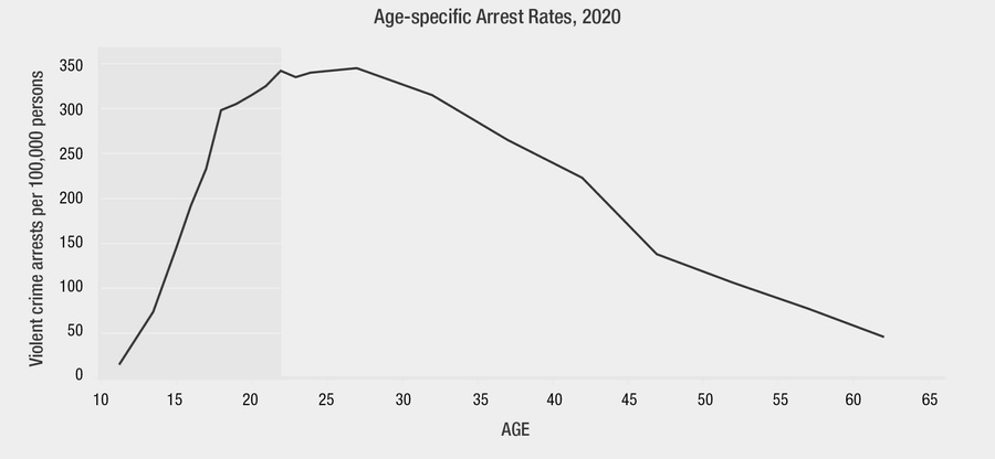 age specific arrest rates from 2020 graph